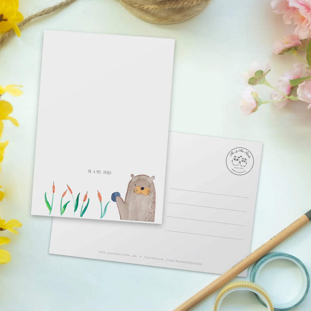 Pocztówka wydra kamień Kuna, wydra, morska wydra