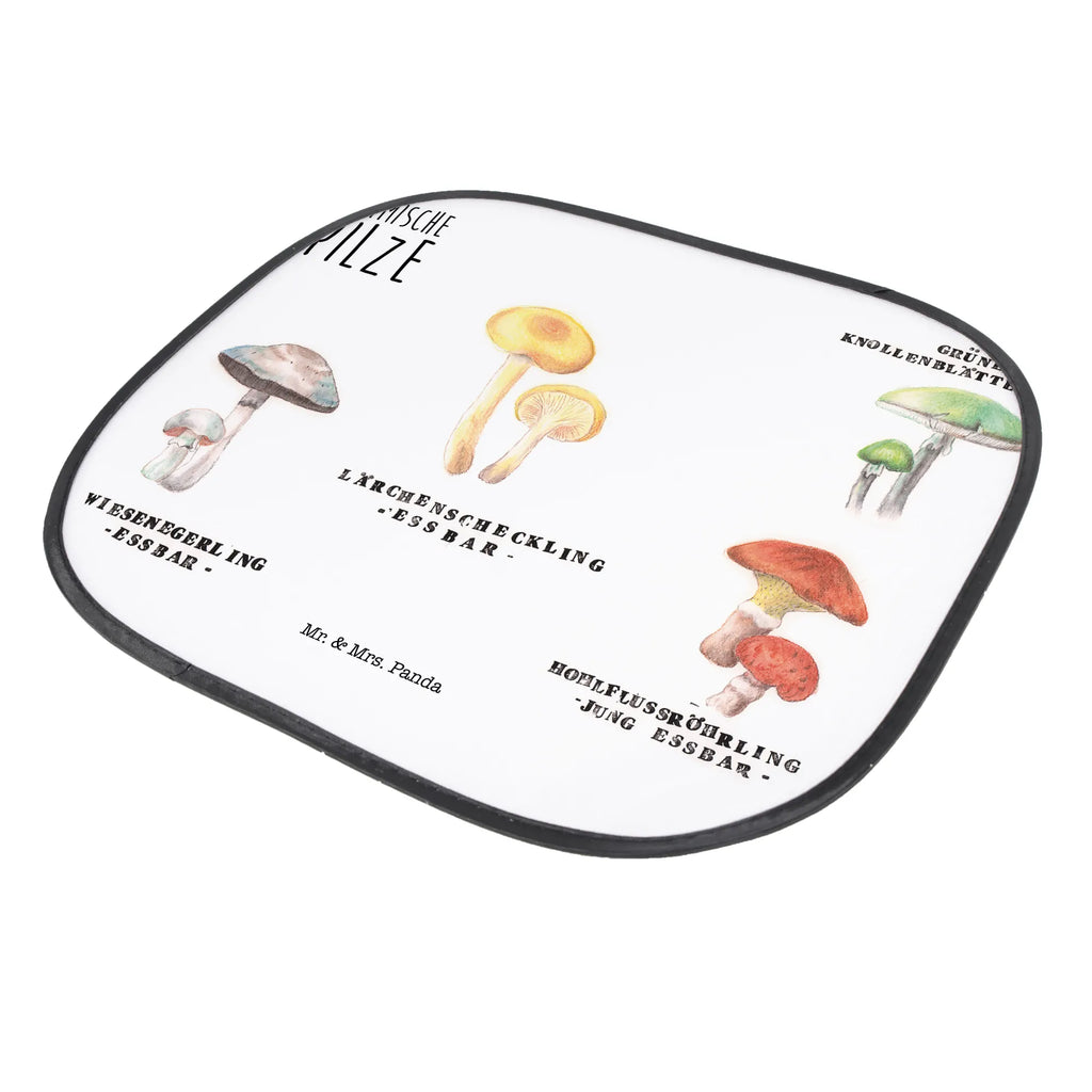 Auto Sonnenblende Heimische Pilze Sonnenschutz Kinder Auto, Sonnenblende Auto, Sonnenschutz Auto Kinder, Sonnenschutz Auto selbsthaftend, Sonnenschutz Auto Frontscheibe, Sonnenschutz Auto Tiere, Kinder Sonnenschutz Auto Fenster, Sonnenschutz Auto ohne Saugnapf, Sonnenschutz Auto Seitenscheibe, Auto Sonnenschutz universal, Baby Sonnenschutz Auto Fenster, Sonnenschutz Autoscheibe, Autoscheiben Sonnenschutz, Auto Sichtschutz, Sonnenschutz Baby Auto, Sonnenschutz für Auto, Sonnenschutz Auto Fenster, Auto Sonnenschutz klappbar, Sonnenschutzfolie Auto, Auto Sonnenschutzfolie, Auto Sonnenschutz mit Motiv, Auto Verdunkelung, Sonnenschutz Auto Saugnapf, Sonnenschutz fürs Auto, Sonnenschutz Auto mit Fensteröffnung, Auto Sonnenblende, Autosonnenschutz, Auto Sonnenschutz, Sonnenschutz Auto ohne Kleben, Sonnenschutz für Autoscheiben, Auto Sonnenschutz Reise, Sonnenschutz Auto Baby, Sonnenschutz Auto, Auto Sonnenschutz UV Schutz, Sonnenschutz Auto Heckscheibe, Blumen Deko, Frühlings Deko, Sommer Deko, Dekoration, positive Botschaft, Naturliebhaber, Outdoor, Natur, Abenteuer, Pilz, Pilze, Glückspilz