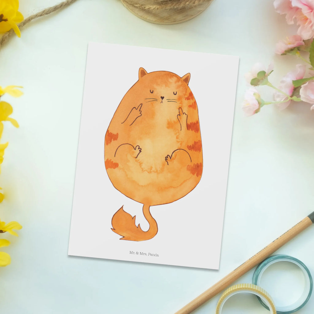 Pocztówka kot środkowy palec Kot, motyw kotów, miłośnik kotów, dekoracje z kotami, przyjaciel kotów, entuzjasta kotów, produkty dla kotów, artykuły dla kotów, akcesoria dla kotów, pamiątki z kotami, produkty dla miłośników kotów, motywy kotów