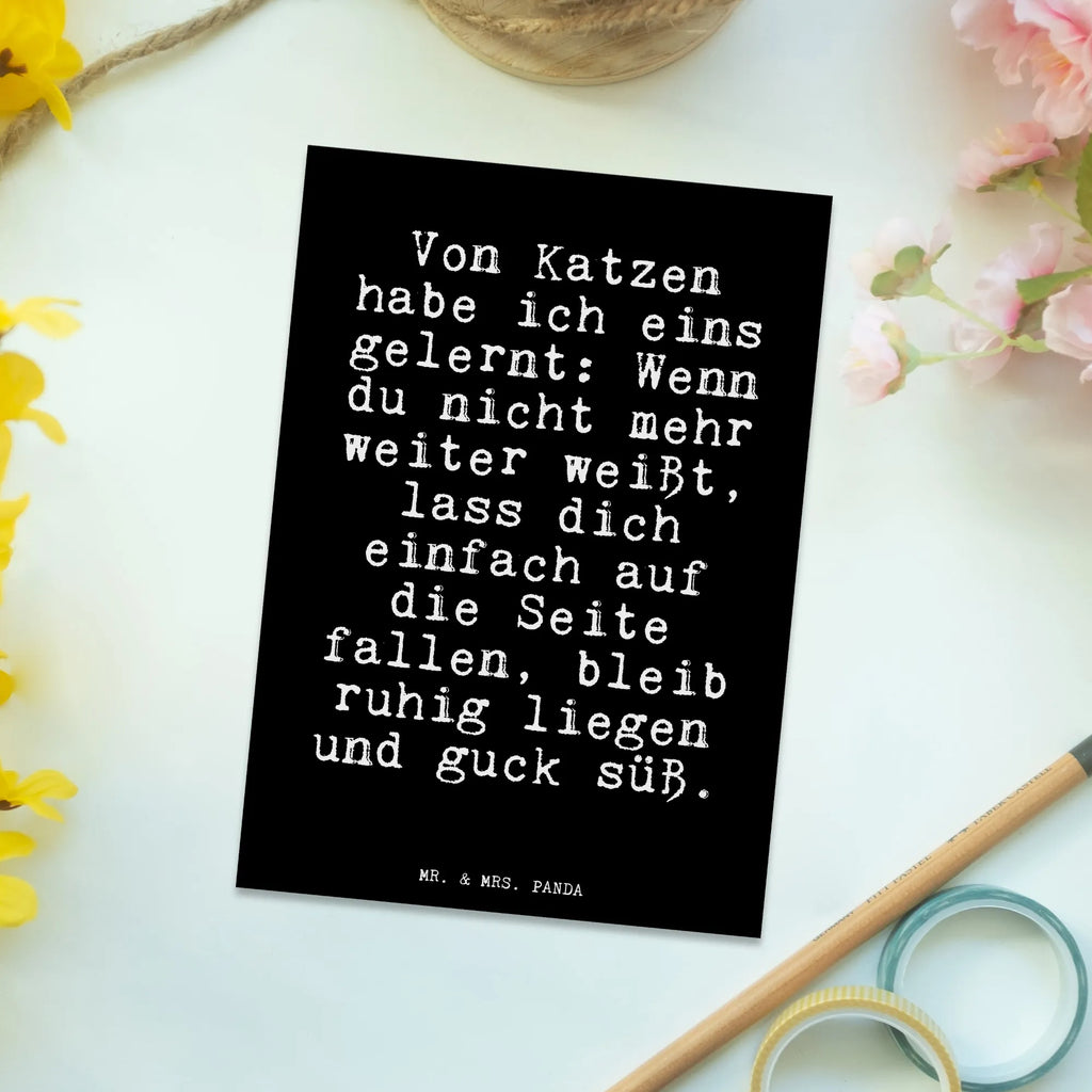 Postcard Von Katzen habe ich... gift, invitation, letter, gift card, paper, Postcard, card, invitation card, postcards, saying, sayings, funny, wisdom, quotes, Glizzer Spell Proverbs Wisdom Quotes Funny Wisdom Words