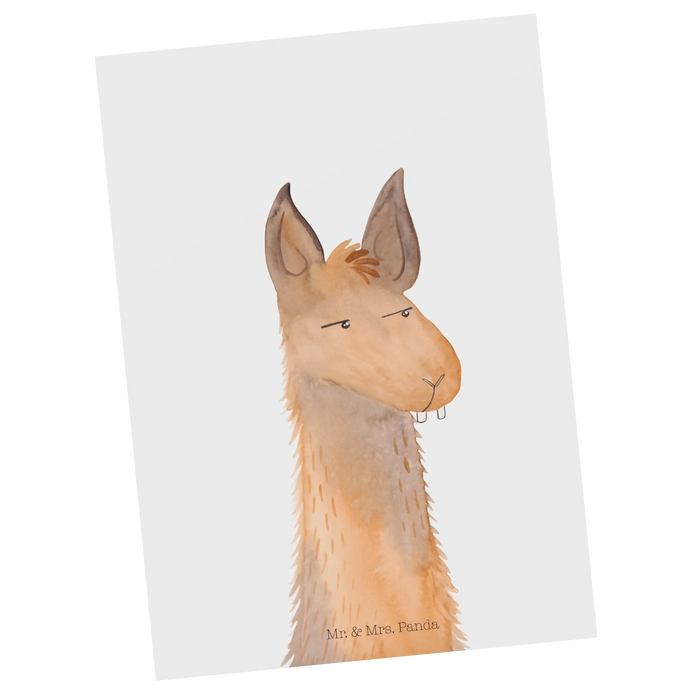 Postcard llama head Annoyed