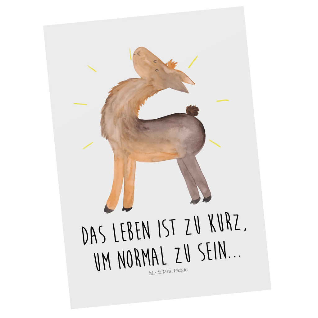 Postkarte Lama stolz Einladungskarten Geburtstag, Grußkarte, Einladung, Postkarte, Ansichtskarten, Dankeskarte, Karte, Einladung Geburtstag, Einladungskarte, Geburtstagskarte, Ansichtskarte, Geschenkkarte, Lama, Alpaka, Außenseiter, Neustart, stolz, Freundinnen, Family, Familie, Kumpel, Anders, beste Freundin, Freundin, Hippie, Lamas