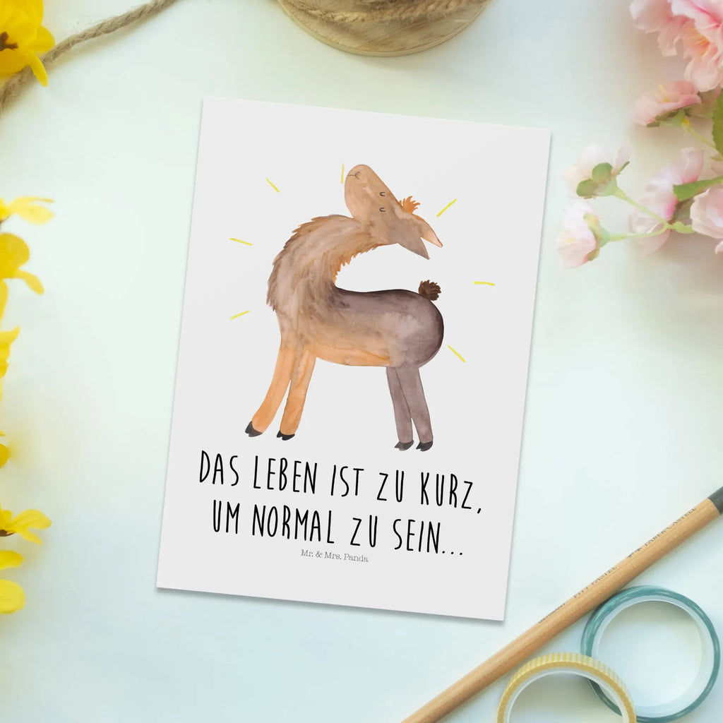 Postkarte Lama stolz Einladungskarten Geburtstag, Grußkarte, Einladung, Postkarte, Ansichtskarten, Dankeskarte, Karte, Einladung Geburtstag, Einladungskarte, Geburtstagskarte, Ansichtskarte, Geschenkkarte, Lama, Alpaka, Außenseiter, Neustart, stolz, Freundinnen, Family, Familie, Kumpel, Anders, beste Freundin, Freundin, Hippie, Lamas