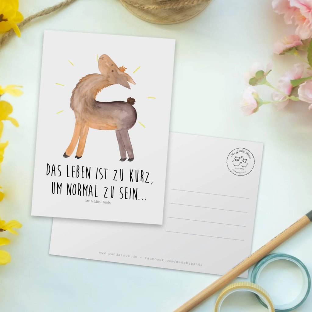 Postkarte Lama stolz Einladungskarten Geburtstag, Grußkarte, Einladung, Postkarte, Ansichtskarten, Dankeskarte, Karte, Einladung Geburtstag, Einladungskarte, Geburtstagskarte, Ansichtskarte, Geschenkkarte, Lama, Alpaka, Außenseiter, Neustart, stolz, Freundinnen, Family, Familie, Kumpel, Anders, beste Freundin, Freundin, Hippie, Lamas