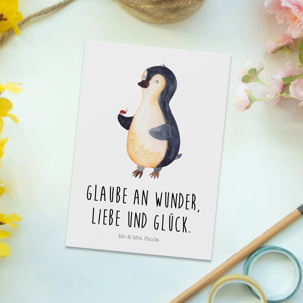 Postcard Penguin ladybug North Pole, Penguins, wonder, joy, joy of life, ladybird, penguins