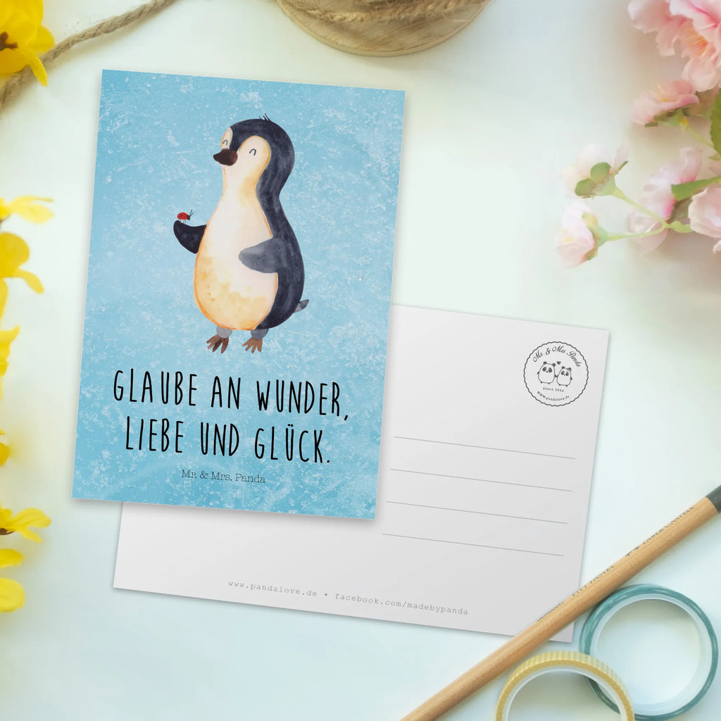 Postcard Penguin ladybug North Pole, Penguins, wonder, joy, joy of life, ladybird, penguins