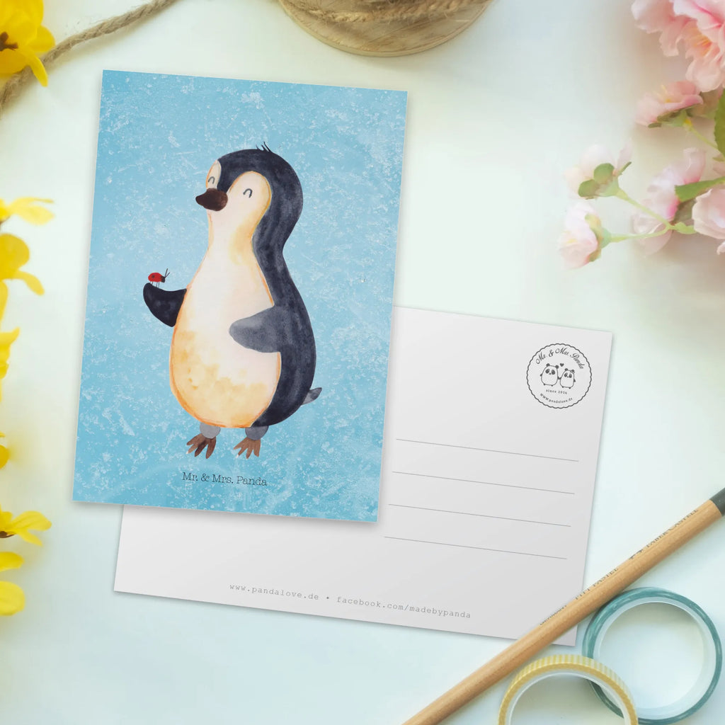 Postcard Penguin ladybug North Pole, Penguins, wonder, joy, joy of life, ladybird, penguins