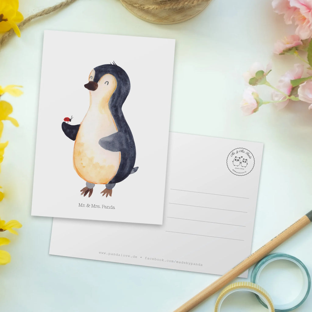 Postcard Penguin ladybug North Pole, Penguins, wonder, joy, joy of life, ladybird, penguins
