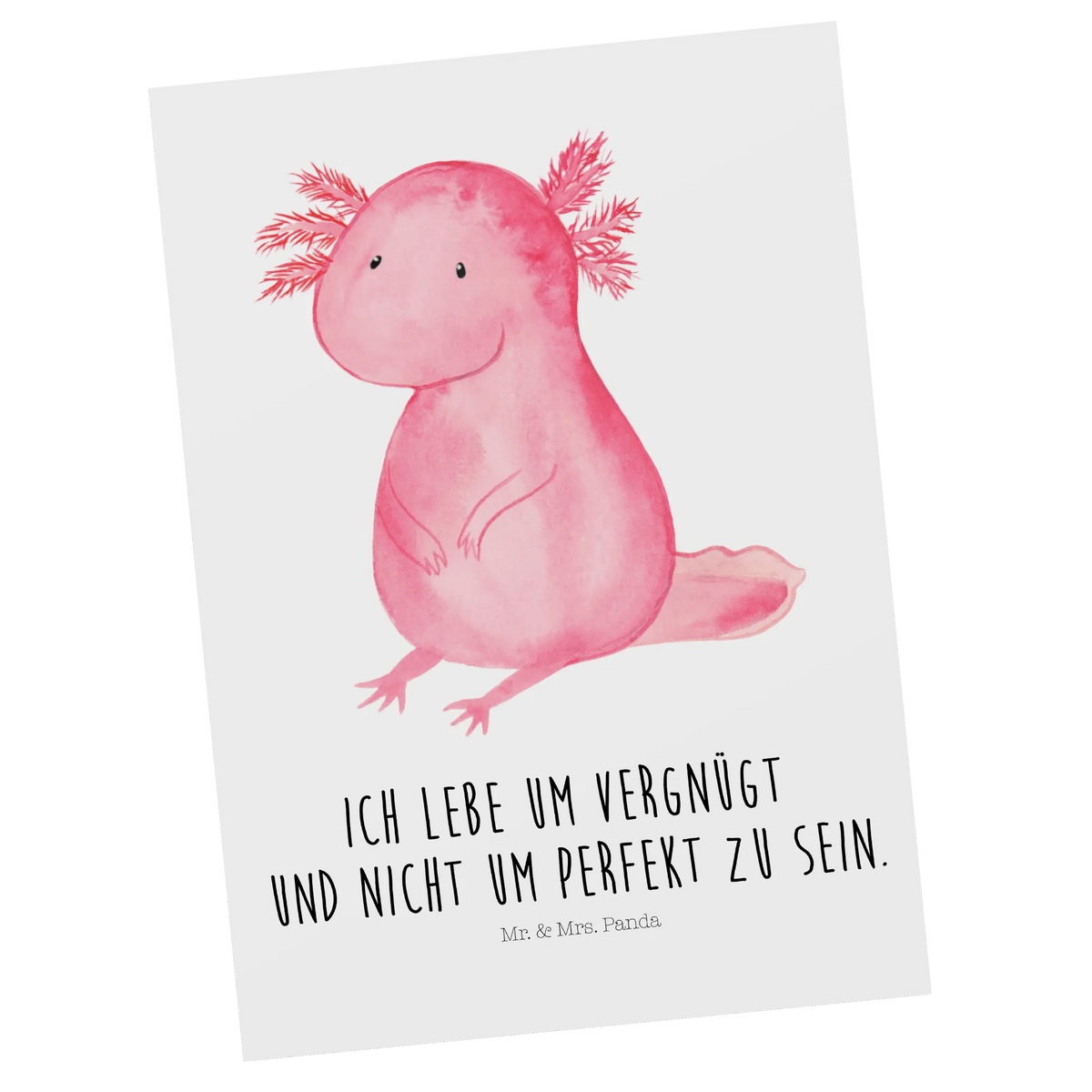 Postcard axolotl zero card, invitation, letter, invitation card, postcards, Postcard, paper, gift, gift card, Axolotl, Axelotl, marine animals, Mexican walking fish, salamander, worldly wisdom, girlfriend, contented, cheerful, Axolot, love, wisdom, lifestyle, happy