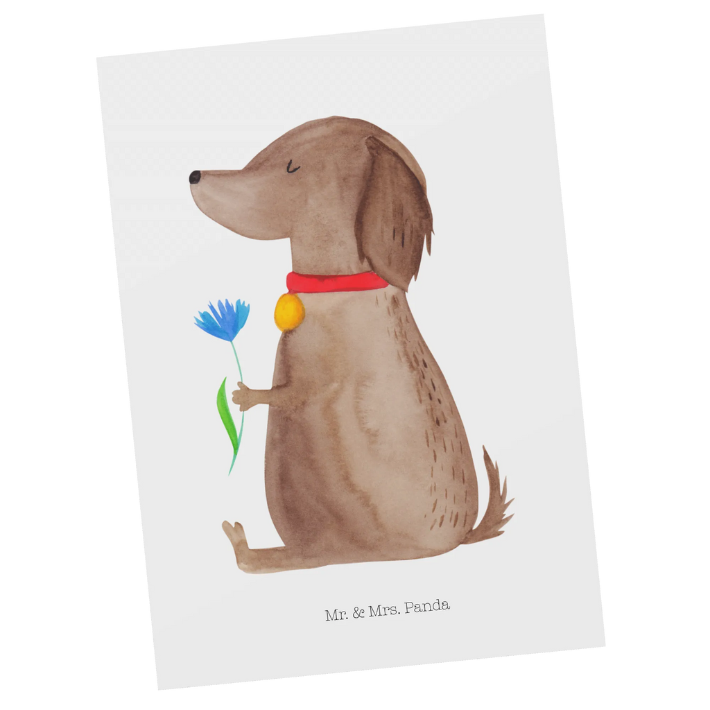 Postcard Dog flower einzelkarte, Motivkarte, Postkarte, Ansichtskarte, Designkarte, Grußkarte, Ansichtskarten, Kunstkarten, Postkarten, bildkarte, spruchkarte, Fotokarte, kunstkarte, Haustier, Hundemotiv, Tierliebhaber, Hunderasse, Hund, Hundebesitzer, Sprüche, Frauchen, Hundeliebe, Hunde