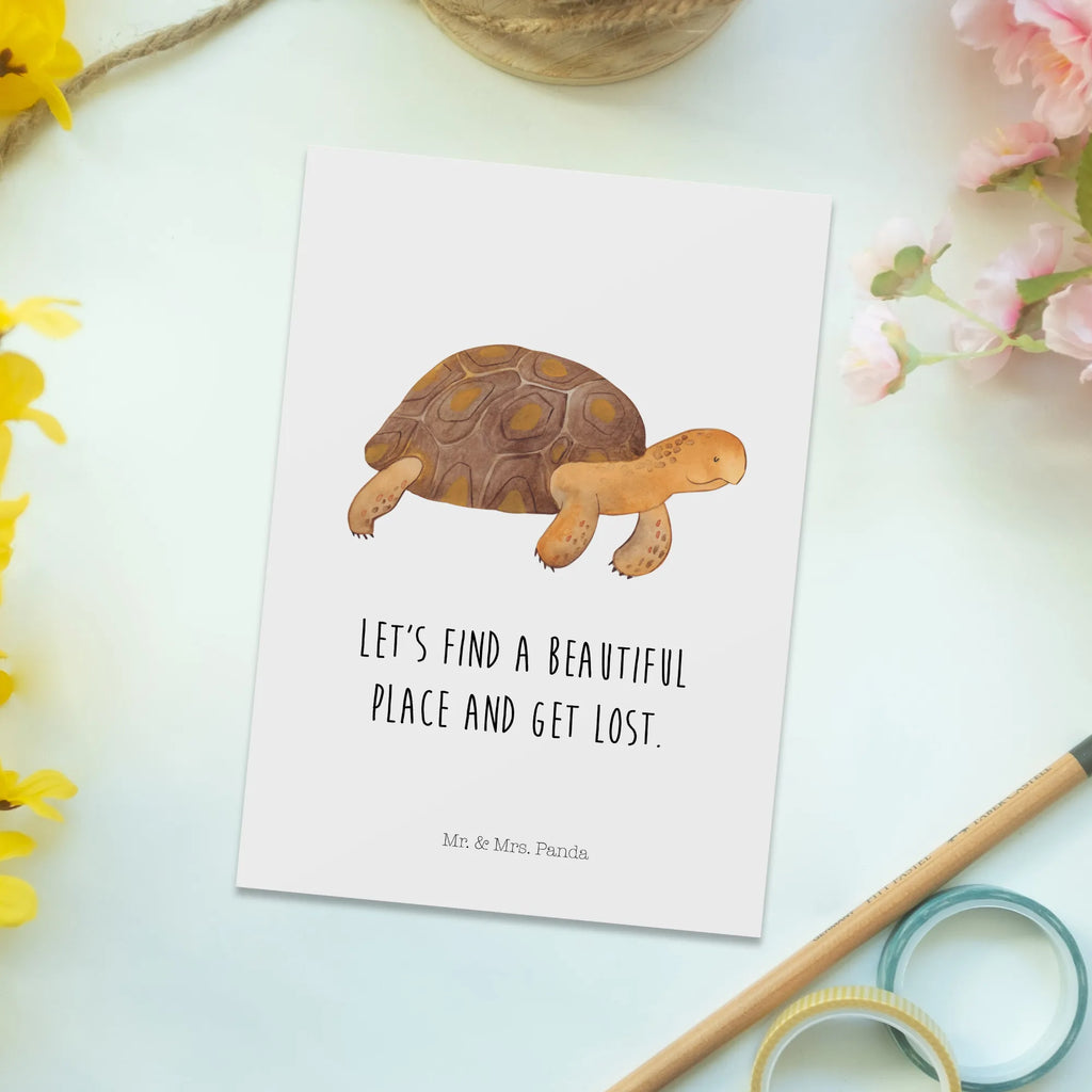 Pocztówka Żółw maszerować Einladungskarten Geburtstag, Einladungskarte, Geschenkkarte, Grußkarte, Geburtstagskarte, Dankeskarte, Karte, Ansichtskarten, Einladung, Ansichtskarte, Einladung Geburtstag, Postkarte, Meerestiere, Meer, Urlaub, Schildkröten, Neustart, Lieblingsmensch, Reiselust, get lost, Inspiration, Abenteuer, Motivation, Schildkröte