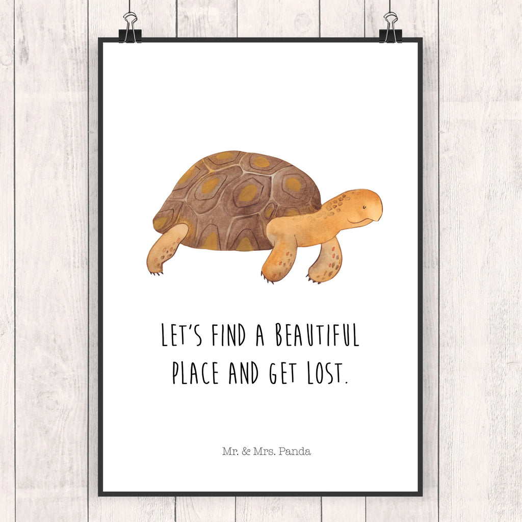 Plakat Żółw maszerować kunst für die wand, wanddeko, Wanddeko Bild, wanddruck, kunstdruck poster, Wandposter, Kunstdruck, Deko Bild, Bild, Wandbild, Mr. & Mrs. Panda Poster, wandkunst, kunstposter, Wanddekoration, Designposter, Bild für Wand, Posterdruck, Wandschmuck, drucke, Plakat, Poster, grafikposter, Meerestiere, Urlaub, Meer, Schildkröte, Motivation, Lieblingsmensch, Schildkröten, Inspiration, Get Lost, Neustart, Abenteuer, Reiselust