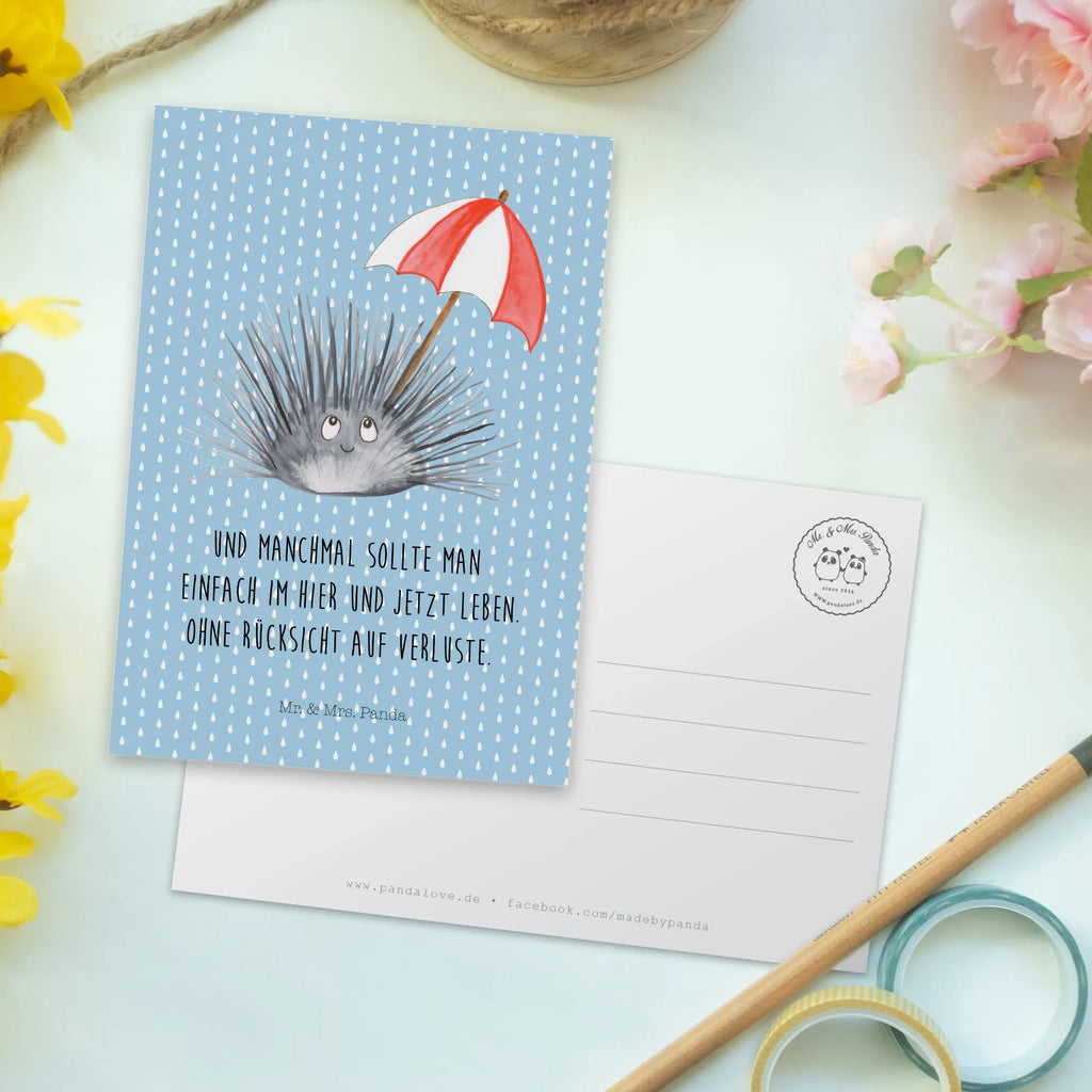 Postcard Sea urchins kunstkarte, Designkarte, Motivkarte, bildkarte, Postkarten, spruchkarte, Kunstkarten, Grußkarte, Postkarte, Fotokarte, Ansichtskarte, einzelkarte, Ansichtskarten, Meer, Urlaub, Meerestiere, Leben, Hier und Jetzt, Seeigel, Selbstakzeptanz, Selbstliebe, Lebe, Achtsamkeit