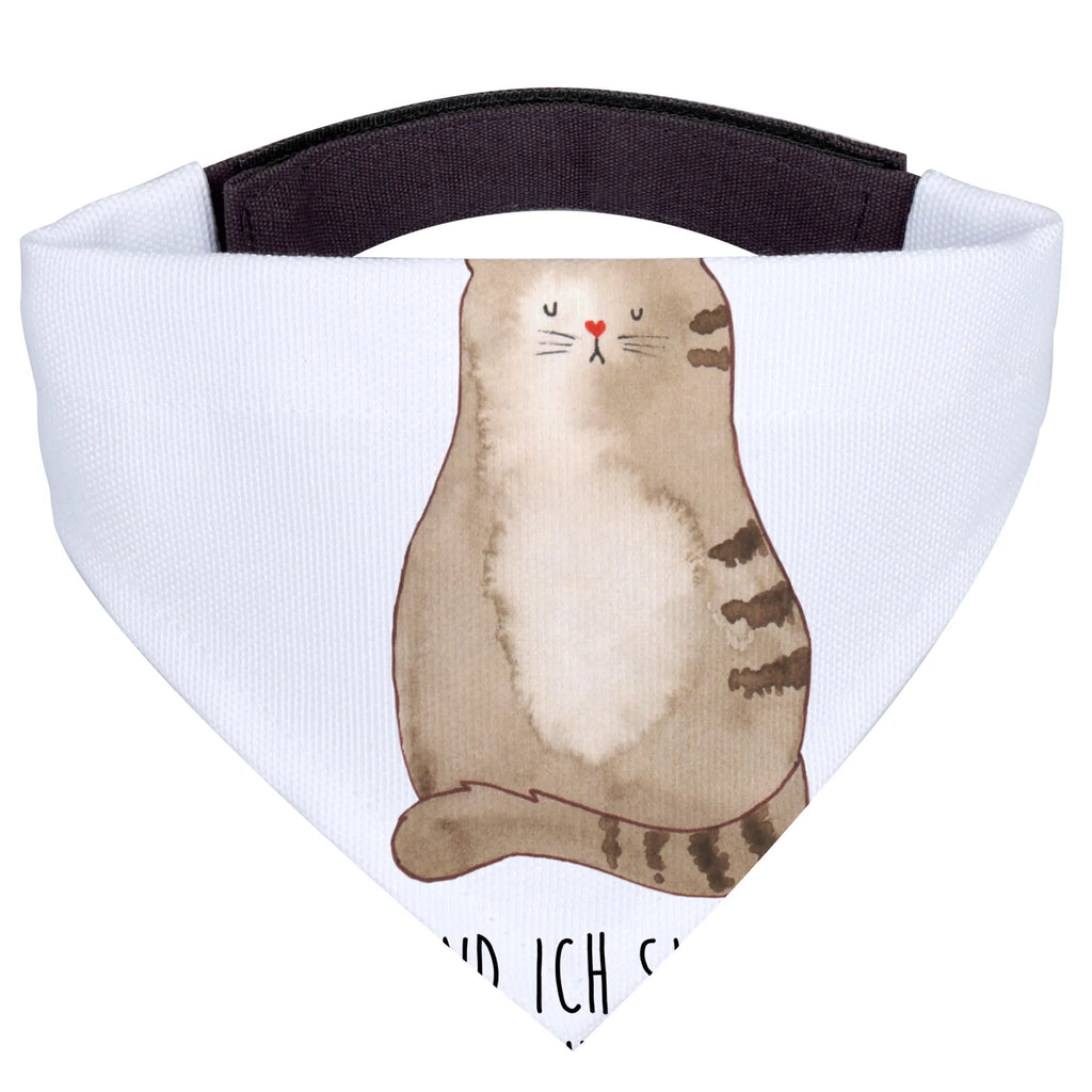 Dog neckerchief Cat Sit Hunde, Hundehalstuch, Tuch, Kleine Hunde, Halstuch, Katzenartikel, Katzenfreund, Katzenliebhaberprodukte, Katzenprodukte, Katzenmotive, Katzenliebhaber, Katzenmotiv, Katzensouvenirs, Katzenaccessoires, Katzenfan, Katzendeko, Katze, Katzenliebe, Mittelpunkt, Mietze, Kater, Cats, Lebensinhalt, Katzen, Katzenbesitzerin, Cat, Haustier, Familie, Katzenhalter, Liebe