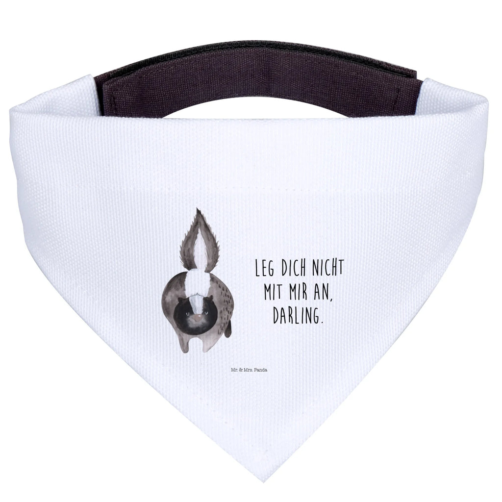 Hundehalstuch Stinktier Angriff Hunde, Kleine Hunde, Tuch, Halstuch, Hundehalstuch, Skunk, Stinktier, Drohung, Stinker, Stinki, Raubtier, wütend, Wildtier