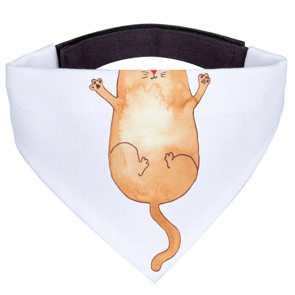 Chusta na szyję dla psa L kotka Przytulić Hunde, Kleine Hunde, Tuch, Halstuch, Hundehalstuch, Katzenliebhaberprodukte, Katzenmotive, Katzenmotiv, Katzenfan, Katzenartikel, Katzendeko, Katzenliebhaber, Katze, Katzenaccessoires, Katzensouvenirs, Katzenfreund, Katzenprodukte, Liebe, Kater, Cats, Mietze, Katzen, Katzenliebe, Katzenhalter, Familie, Katzenbesitzerin, Freunde, Haustier, Cat, Freundin, Beste Freunde