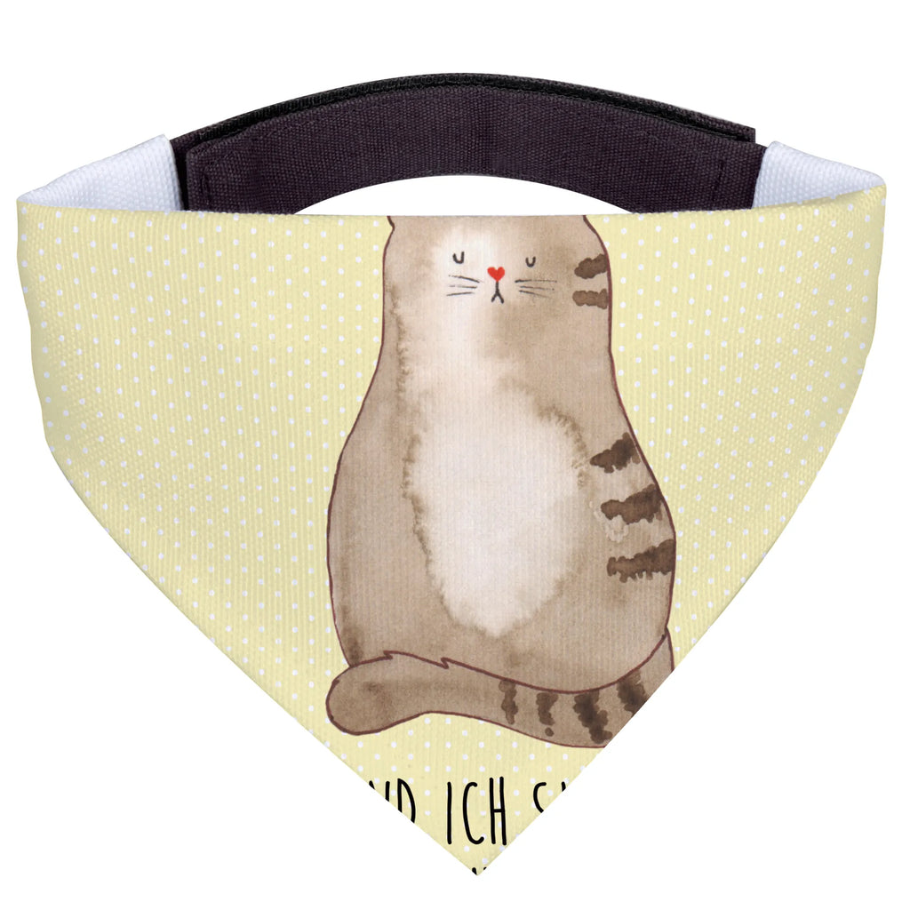 Dog neckerchief Cat Sit Hunde, Hundehalstuch, Tuch, Kleine Hunde, Halstuch, Katzenartikel, Katzenfreund, Katzenliebhaberprodukte, Katzenprodukte, Katzenmotive, Katzenliebhaber, Katzenmotiv, Katzensouvenirs, Katzenaccessoires, Katzenfan, Katzendeko, Katze, Katzenliebe, Mittelpunkt, Mietze, Kater, Cats, Lebensinhalt, Katzen, Katzenbesitzerin, Cat, Haustier, Familie, Katzenhalter, Liebe