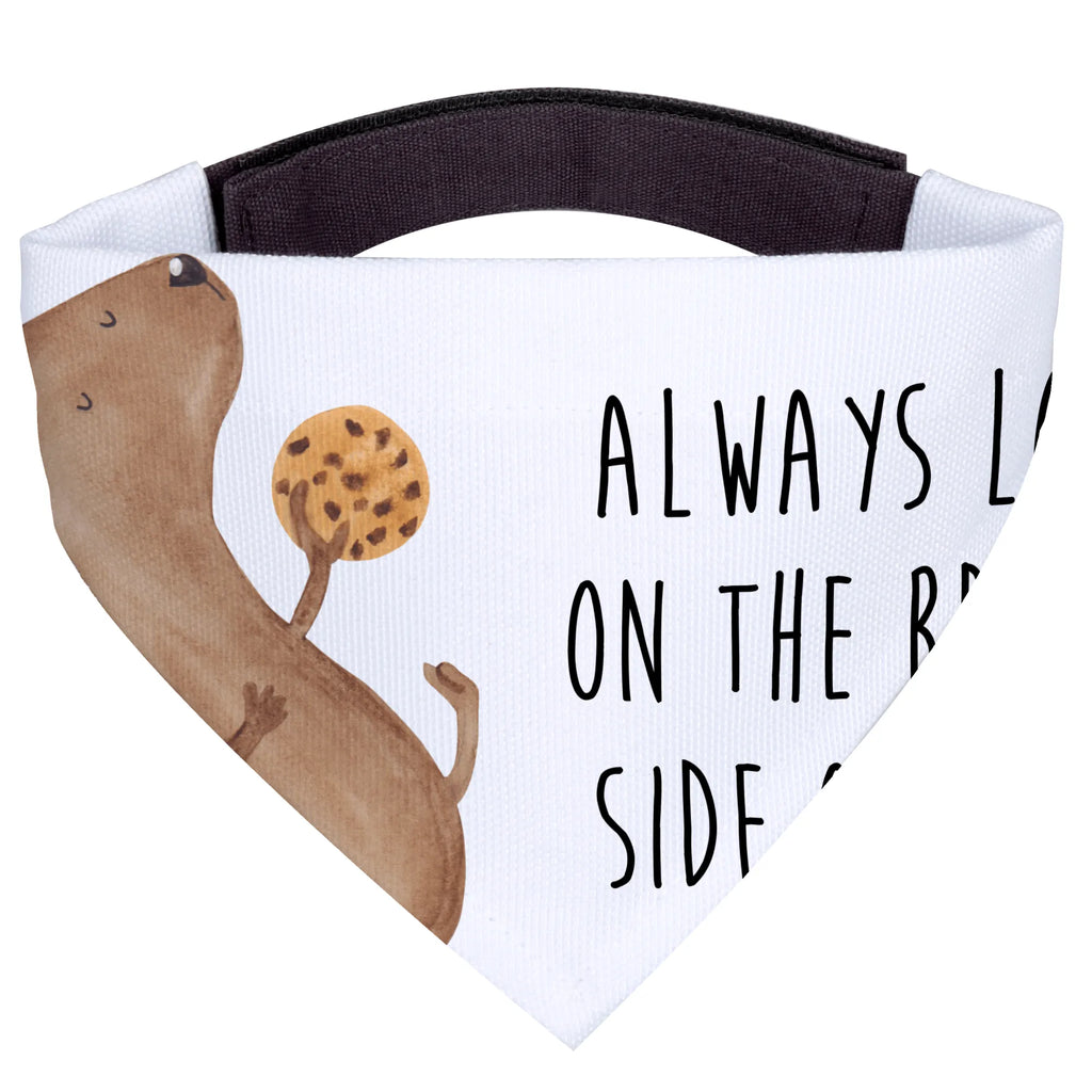 Hundehalstuch Hund Keks Halstuch, Tuch, Hundehalstuch, Hunde, Mittel, Mittelgroße Hunde, Hundemotiv, Hundebesitzer, Hunderasse, Sprüche, Hund, Tierliebhaber, Haustier, Hundekekse, Hundesnacks, Hundeleckerli, Leckerli