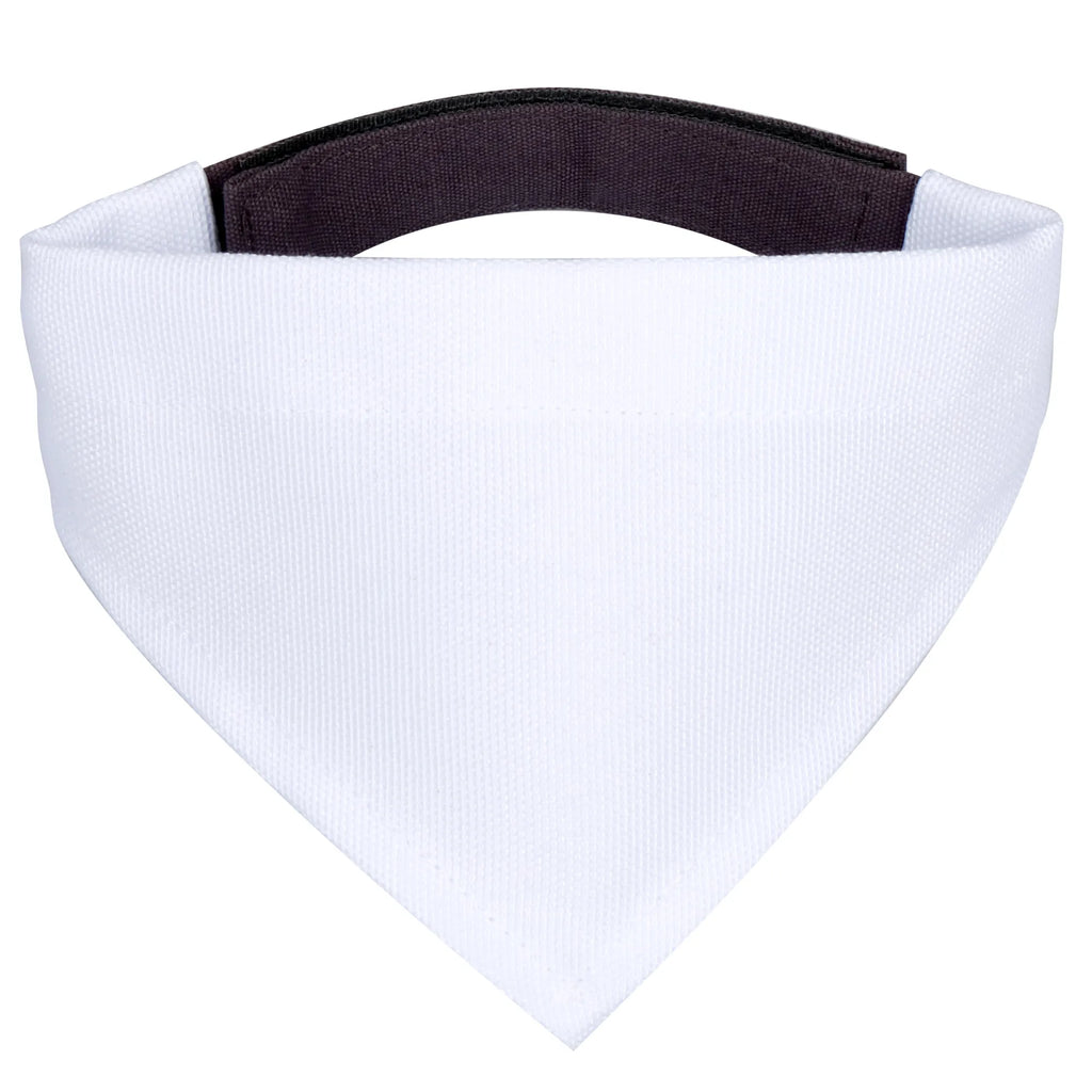 Dog neckerchief Fox guitar Tuch, Hundehalstuch, Kleine Hunde, Halstuch, Hunde, Fuchs, Musikerin, Gitarre, Geschenk Musiker, Musik Spruch, Füchse, Sänger, Sängerin