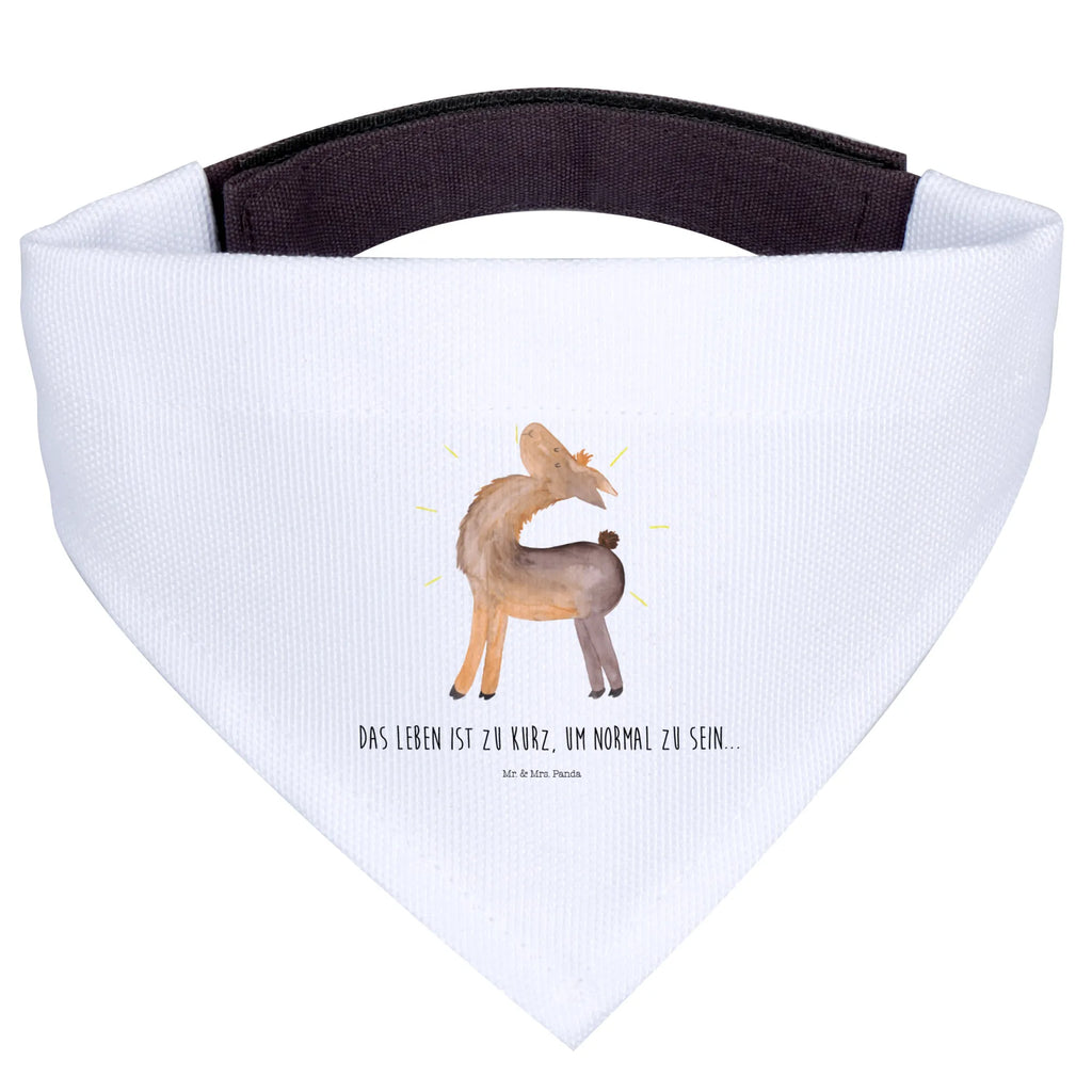Dog neckerchief lama Proud Hundehalstuch, mittelgroße Hunde, Hunde, Tuch, Halstuch, mittel, Lama, Alpaka, Family, Außenseiter, Lamas, stolz, Neustart, Hippie, Familie, beste Freundin, Freundin, Freundinnen, Anders, Kumpel