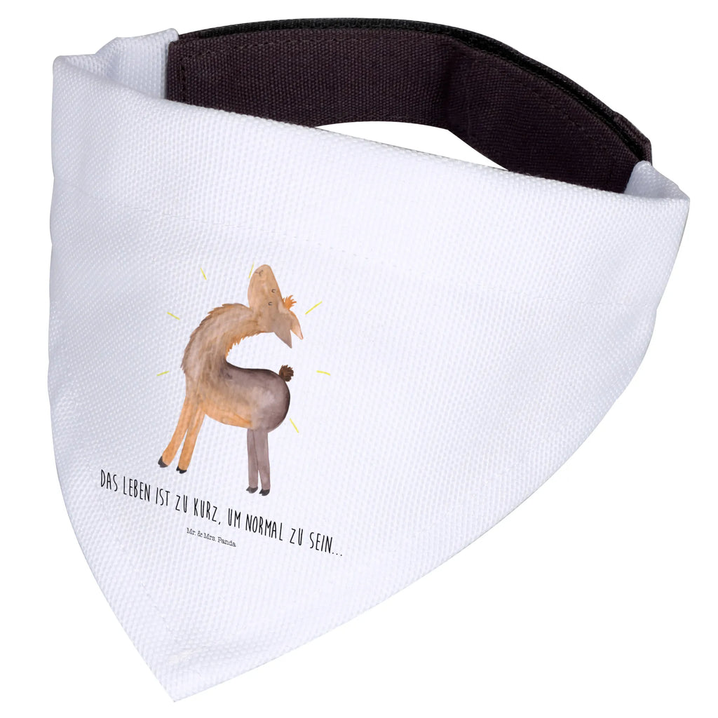 Dog neckerchief lama Proud Hundehalstuch, mittelgroße Hunde, Hunde, Tuch, Halstuch, mittel, Lama, Alpaka, Family, Außenseiter, Lamas, stolz, Neustart, Hippie, Familie, beste Freundin, Freundin, Freundinnen, Anders, Kumpel