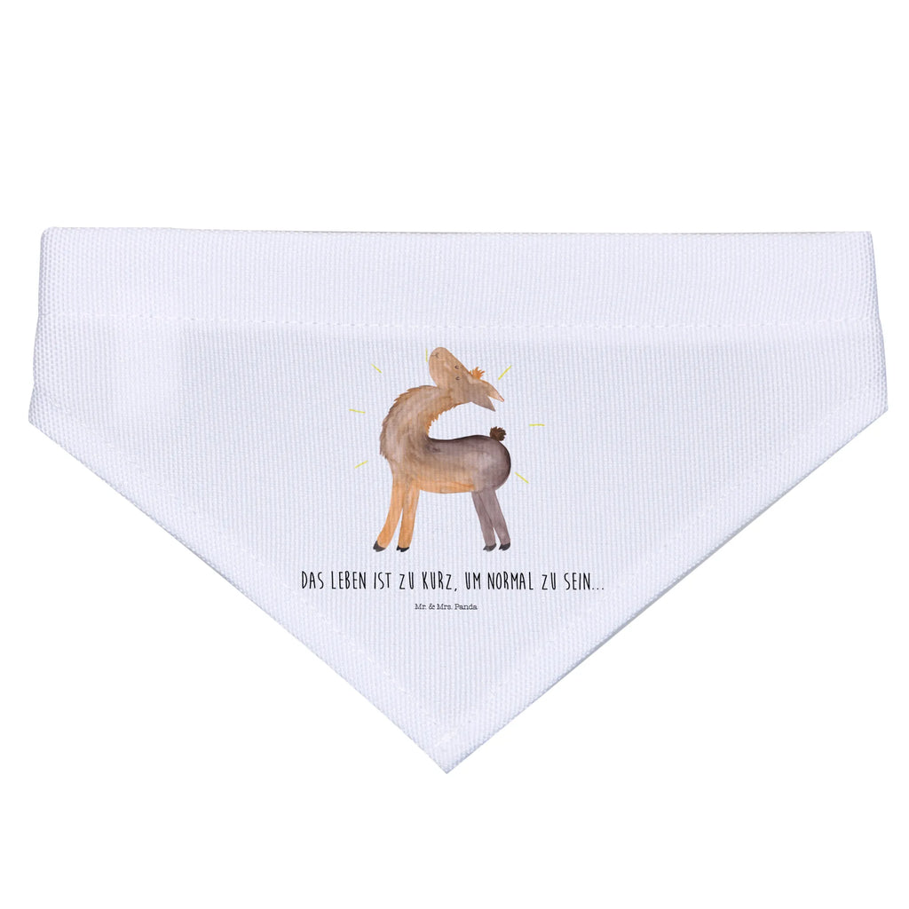 Dog neckerchief lama Proud Hundehalstuch, mittelgroße Hunde, Hunde, Tuch, Halstuch, mittel, Lama, Alpaka, Family, Außenseiter, Lamas, stolz, Neustart, Hippie, Familie, beste Freundin, Freundin, Freundinnen, Anders, Kumpel