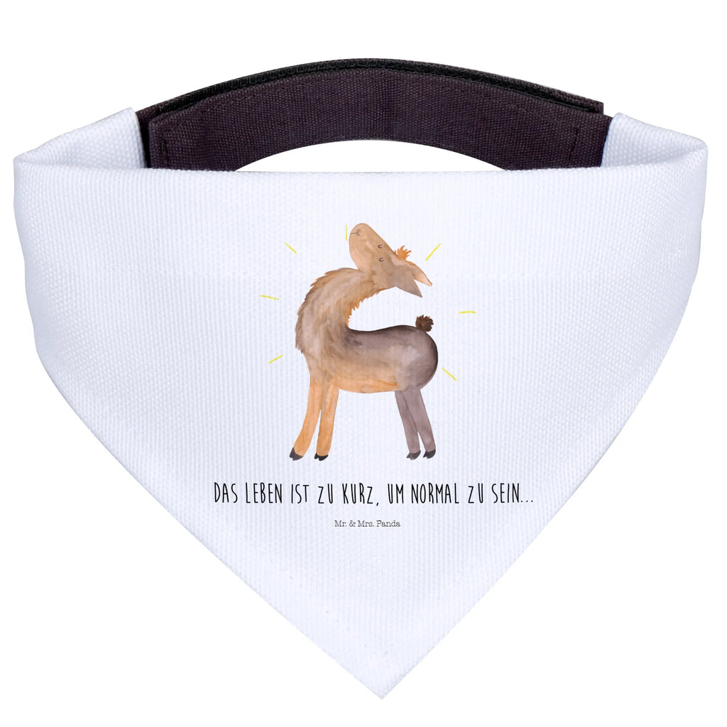 Dog neckerchief lama Proud Hundehalstuch, mittelgroße Hunde, Hunde, Tuch, Halstuch, mittel, Lama, Alpaka, Family, Außenseiter, Lamas, stolz, Neustart, Hippie, Familie, beste Freundin, Freundin, Freundinnen, Anders, Kumpel