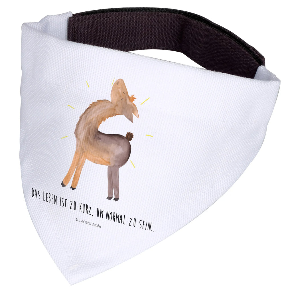 Dog neckerchief lama Proud Hundehalstuch, mittelgroße Hunde, Hunde, Tuch, Halstuch, mittel, Lama, Alpaka, Family, Außenseiter, Lamas, stolz, Neustart, Hippie, Familie, beste Freundin, Freundin, Freundinnen, Anders, Kumpel