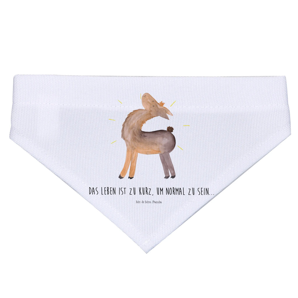 Dog neckerchief lama Proud Hundehalstuch, mittelgroße Hunde, Hunde, Tuch, Halstuch, mittel, Lama, Alpaka, Family, Außenseiter, Lamas, stolz, Neustart, Hippie, Familie, beste Freundin, Freundin, Freundinnen, Anders, Kumpel