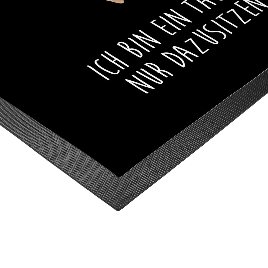 Doormat seal Laugh Eingangsteppich, Fussmatte, Schmutzmatte, Schmutzfangteppich, Schuhabstreifer, Eingangsmatte, Sauberlaufmatte, Schmutzfangmatte, flurmatte, schmutzfangmatten, matte haustür, türmatten, Türmatte, Fußmatten, hausmatte, fußmatte, außenmatte, Abtretmatte, Türvorleger, sauberlaufmatten, Haustürmatte, abstreifer, Abtreter, Fußabstreifer, Schmutzfänger, Fußabtreter, Gute Laune, Tiermotive, Lustige Sprüche, Tiere, Strand, Meerestier, Seehund, Robbe, Nordsee, Ostsee, Robben