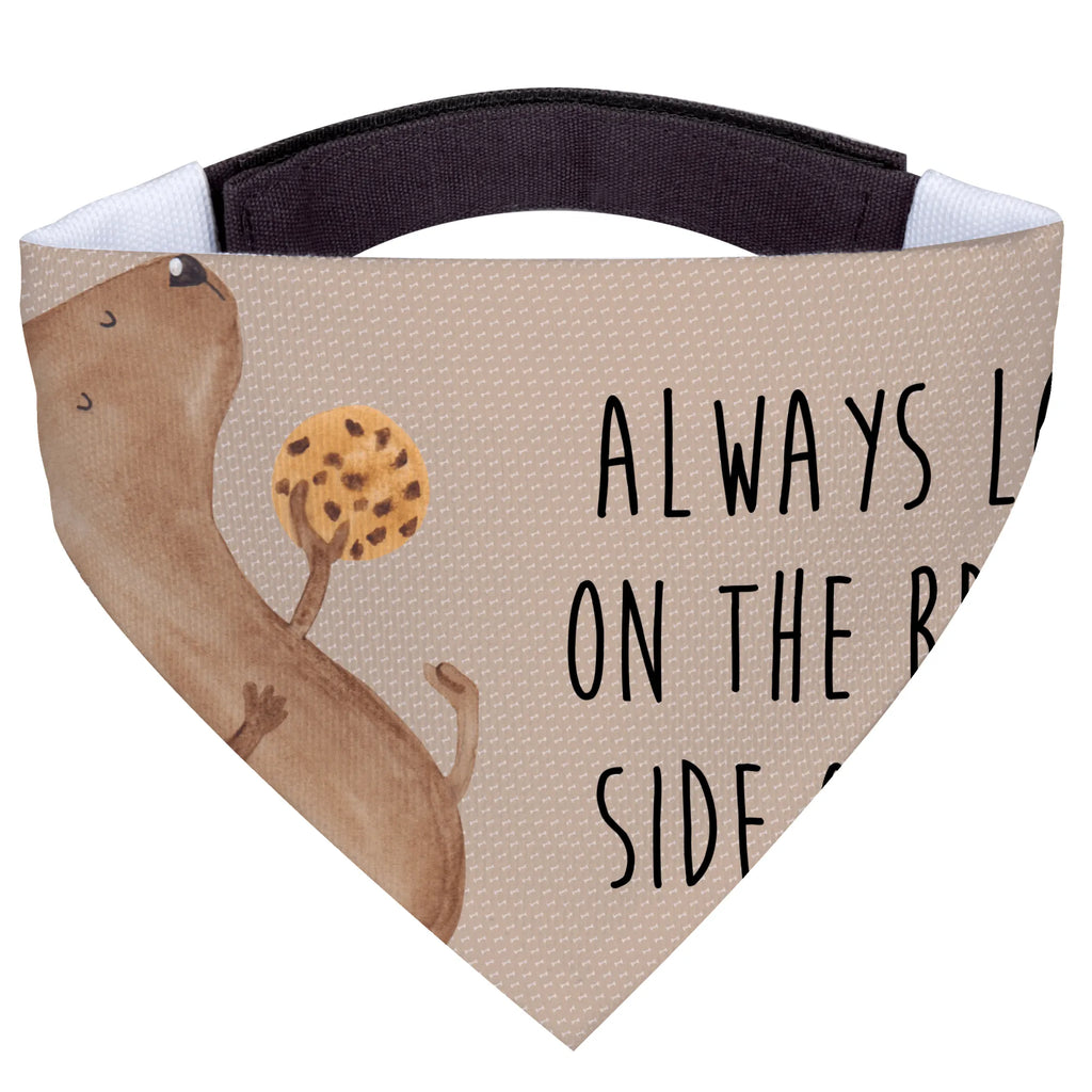 Hundehalstuch Hund Keks Halstuch, Tuch, Hundehalstuch, Hunde, Mittel, Mittelgroße Hunde, Hundemotiv, Hundebesitzer, Hunderasse, Sprüche, Hund, Tierliebhaber, Haustier, Hundekekse, Hundesnacks, Hundeleckerli, Leckerli