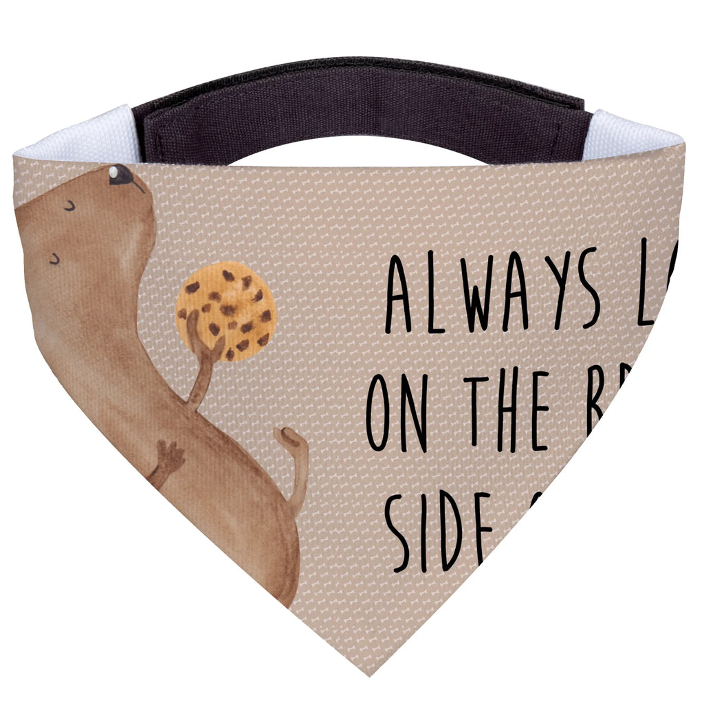 Hundehalstuch Hund Keks Halstuch, Tuch, Hundehalstuch, Hunde, Mittel, Mittelgroße Hunde, Hundemotiv, Hundebesitzer, Hunderasse, Sprüche, Hund, Tierliebhaber, Haustier, Hundekekse, Hundesnacks, Hundeleckerli, Leckerli