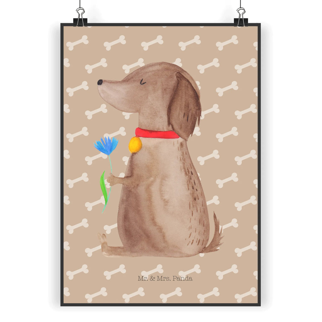 Poster Hund Blume kunst für die wand, wandkunst, Mr. & Mrs. Panda Poster, Kunstdruck, Posterdruck, Bild für Wand, Bild, wanddruck, wanddeko, kunstposter, grafikposter, Wandposter, Wandschmuck, Designposter, Wanddeko Bild, Deko Bild, Wanddekoration, Wandbild, kunstdruck poster, Plakat, Poster, drucke, Tierliebhaber, Haustier, Hundemotiv, Hundebesitzer, Hunderasse, Hund, Sprüche, Hunde, Frauchen, Hundeliebe