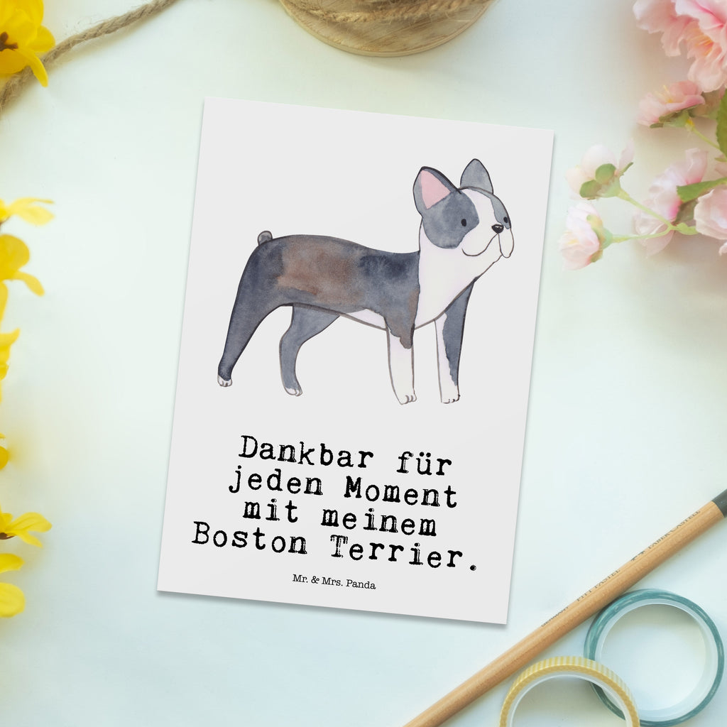 Postkarte Boston Terrier Moment Postkarte, Karte, Geschenkkarte, Grußkarte, Einladung, Ansichtskarte, Geburtstagskarte, Einladungskarte, Dankeskarte, Hund, Hunderasse, Rassehund, Hundebesitzer, Geschenk, Tierfreund, Schenken, Welpe, Boston Terrier