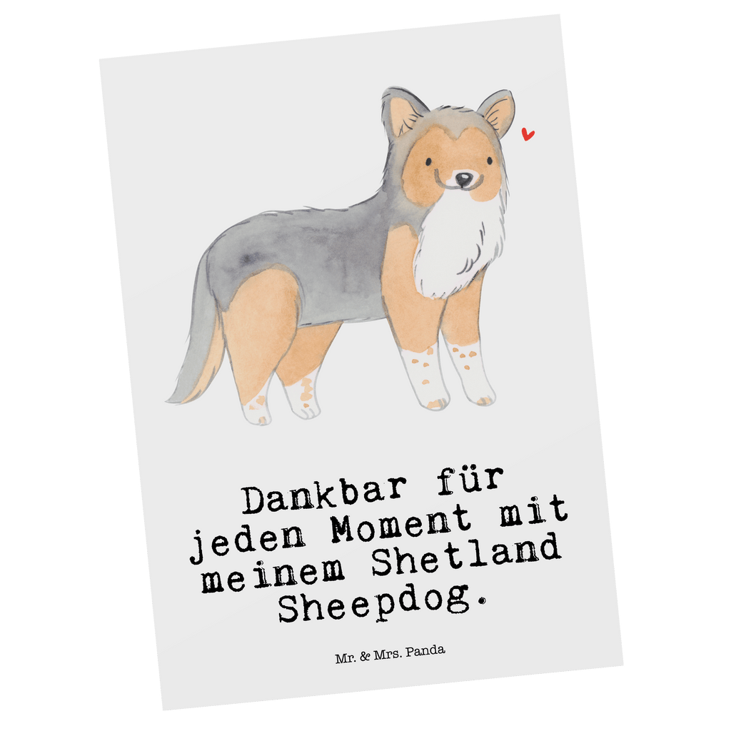 Postkarte Shetland Sheepdog Moment Postkarte, Karte, Geschenkkarte, Grußkarte, Einladung, Ansichtskarte, Geburtstagskarte, Einladungskarte, Dankeskarte, Hund, Hunderasse, Rassehund, Hundebesitzer, Geschenk, Tierfreund, Schenken, Welpe, Shetland Sheepdog, Sheltie